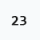 23