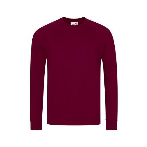 AC001 CL AWDIS Academy Raglan Sweatshirt        CLEARANCE