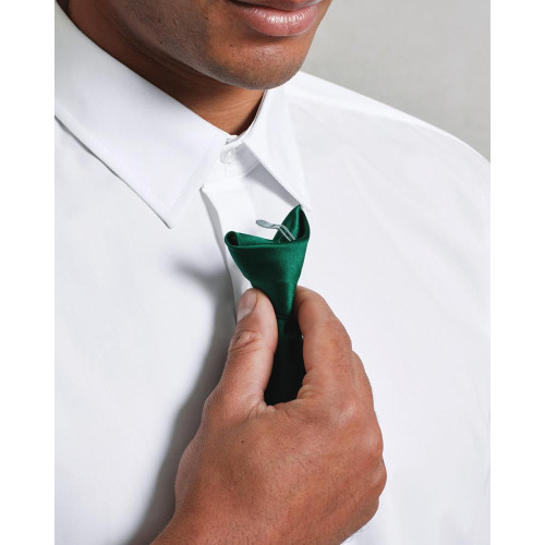 PR755 Premier Colours' Satin Clip Tie