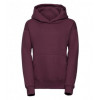 575B Russell Kids Hooded Sweatshirt