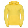 Russell Hooded Sweatshirt