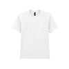 65000 Softstyle® Midweight Adult T-Shirt