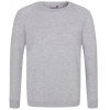 AC001B AWDis Academy Kids Raglan Sweatshirt