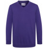 AC003B AWDis Academy Kids V Neck Sweatshirt