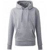 AM001 ANTHEM MENS HOODIE