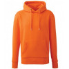 AM001 ANTHEM MENS HOODIE
