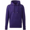 AM001 ANTHEM MENS HOODIE