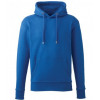 AM001 ANTHEM MENS HOODIE