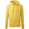 AM001 ANTHEM MENS HOODIE
