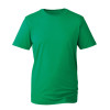 AM010 ANTHEM MENS T-SHIRT