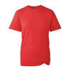 AM010 ANTHEM MENS T-SHIRT