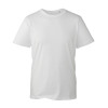 AM010 ANTHEM MENS T-SHIRT