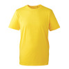 AM010 ANTHEM MENS T-SHIRT