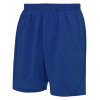 JC080 AWDIS Mesh Lined Shorts