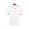 KK606 CLASSIC FIT ST MELLION POLO