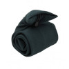 PR710 Premier Clip on Tie