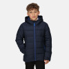 Regatta Junior Scholar Thermal Jacket