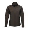 TRA645 Regatta Womens Uproar Softshell