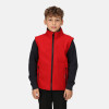 Regatta Junior Ablaze Softshell Bodywarmer