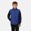 Regatta Junior Ablaze Softshell Bodywarmer